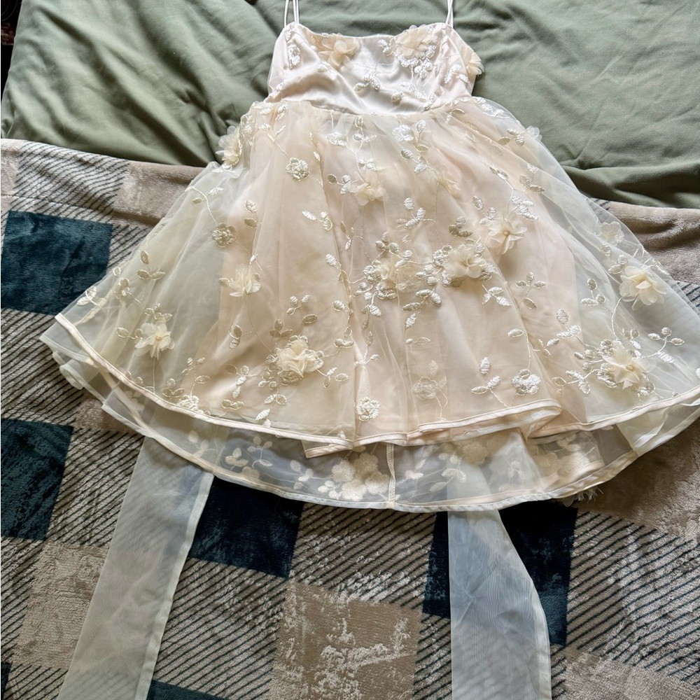 (NWT) Windsor Babydoll Dress